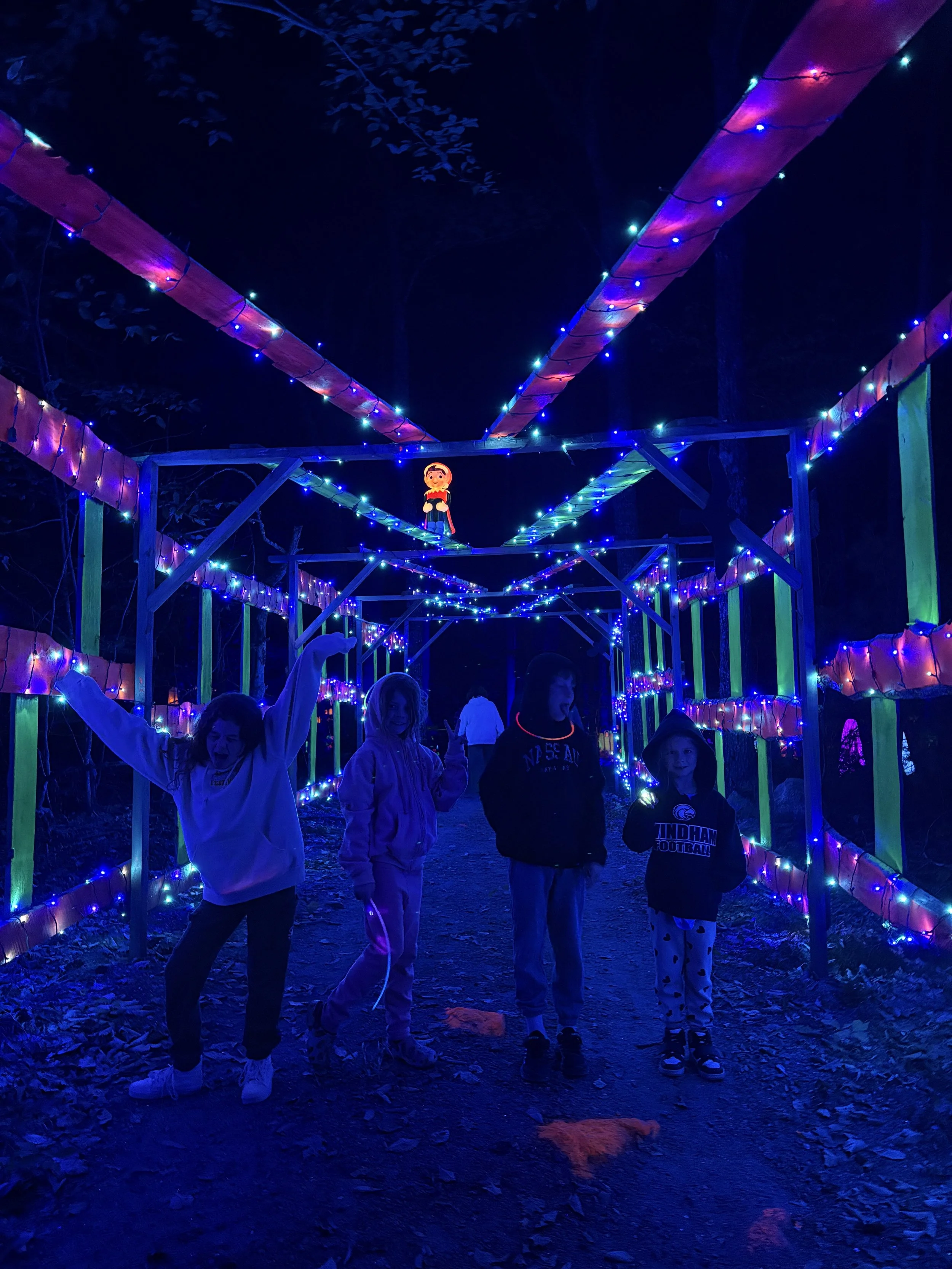 Gallery 1 — NyteWalk